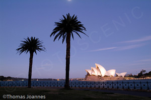 Photoscenic Pic 5 - Sydney Photography by Thomas Joannes