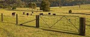 Allen, Leigh - Rural Fencing Pic 3