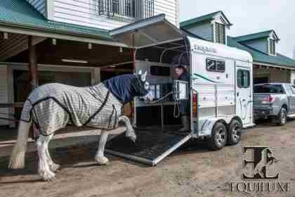 Equiluxe Horse Floats Pic 1