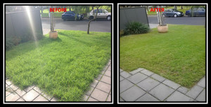 Jamie's Garden Maintenance And Handyman Services Pic 5