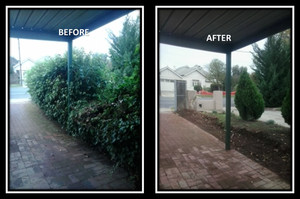 Jamie's Garden Maintenance And Handyman Services Pic 4 - Before and After removing Hedge