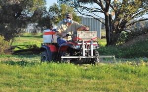 SPOT Yard Care Pic 4 - Blanket Spraying