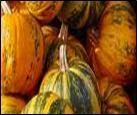 Bush Goddess Foods Wholesale Pic 3 - nourishing organic pumpkins