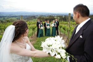 Anthony T Reynolds Photography Pic 5 - Vineyard wedding party with Kirstin NickAnthonyTPhotos of Gippsland