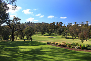 Federal Golf Club Pic 3 - Wonderful photographic opportunities around the course