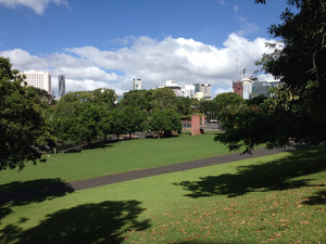 Roma Street Parkland Pic 5 - Id just love to lie under one of these big trees and read a book