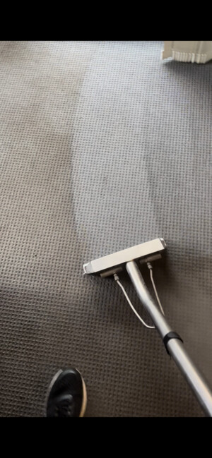 Carpet Cleaning in Sutherland Shire Pic 3