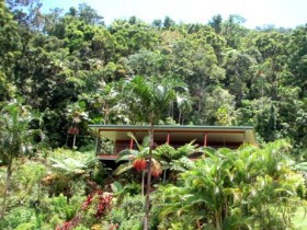 Daintree Views Pic 1 - Daintree Views Rainforest Retreat