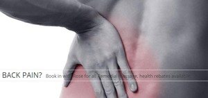 The Healthy Body Studio Pic 2 - LOWER BACK PAIN Book in with Rose for all Remedial massage health rebates available