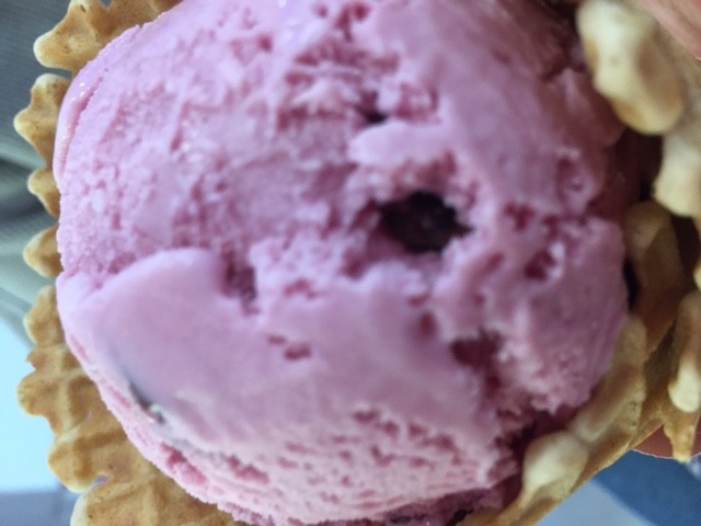 Baskin Robbins Pic 1