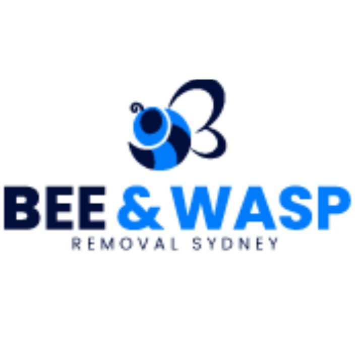 Wasp Removal Cronulla Pic 1