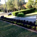 InVision Landscape Design Pic 4 - Artarmon Front yard garden transformation from bare bland to minimal with a rustic feel