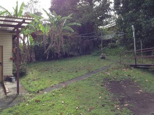 Northern Rivers Lawns and Gardens Pic 3 - Before Garden Cleanup