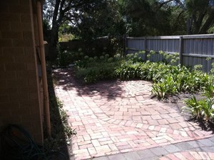 Weed Machine Pic 4 - overgrown amazing unseen courtyard