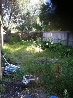 Weed Machine Pic 3 - overgrown