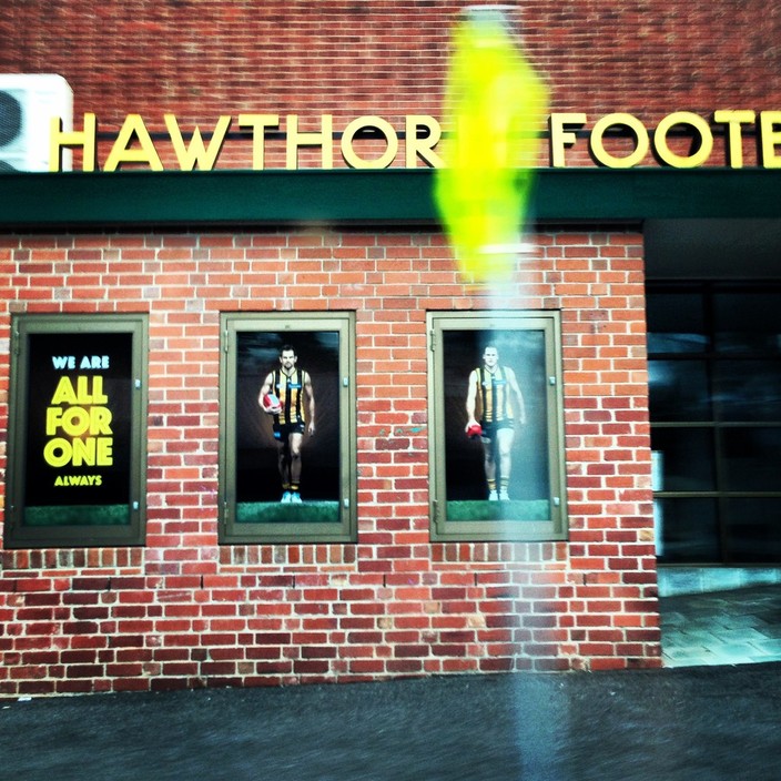 Hawthorn Football Club Pic 2