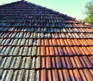 WA Roof Restoration Pic 2 - Moss Removal