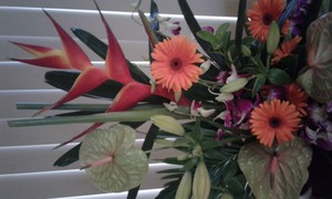 Davistown Florist Pic 5