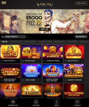 Wildcardcity Online Casino Pic 4