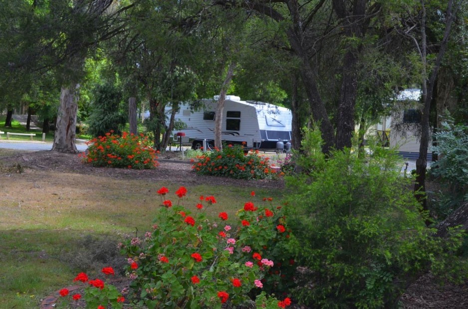 Ingenia Holidays Albury Pic 1 - Ensuite Caravan Site through the gardens