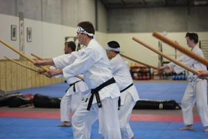 Aiki Shuren Dojo Adelaide Pic 3