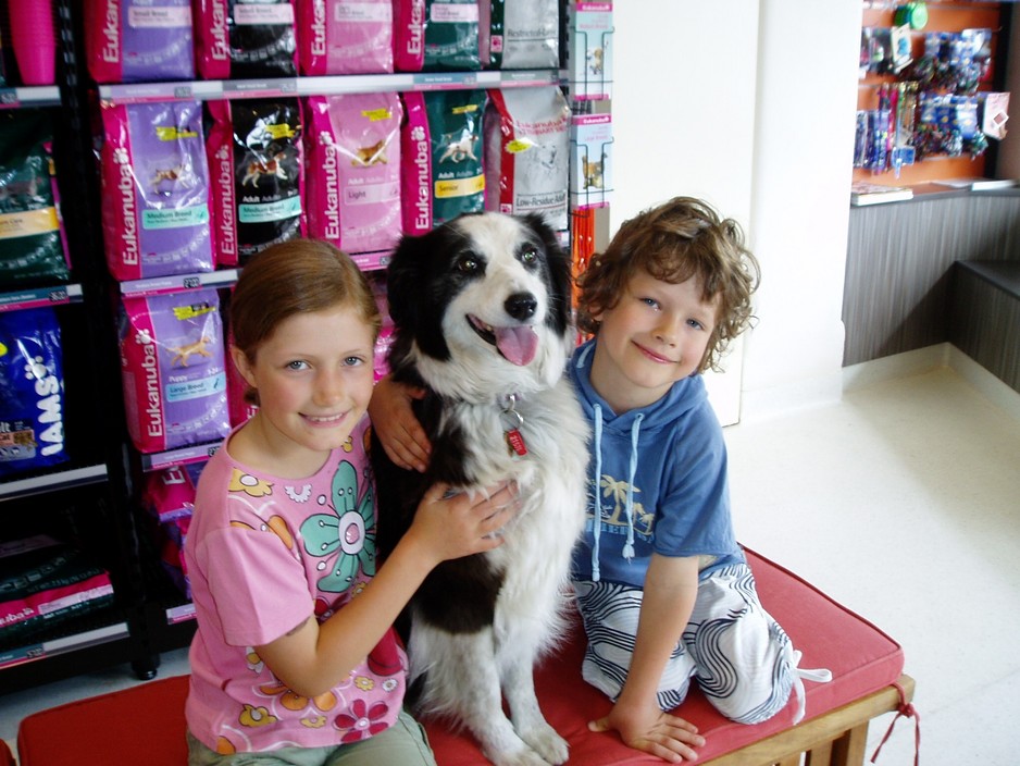 Barkers Veterinary Clinic Pic 1 - Waiting to see Dr Jane