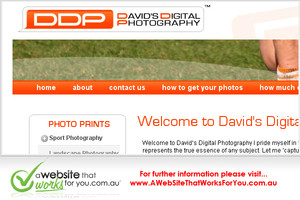 A Website That Works For You Pic 5 - davids digital photography sydney web development