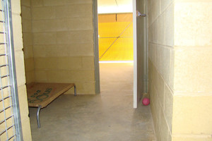 Lazy Dazes Boarding Kennels Pic 2 - Inside Bedroom in Kennel