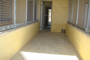 Lazy Dazes Boarding Kennels Pic 3 - Inside Kennel