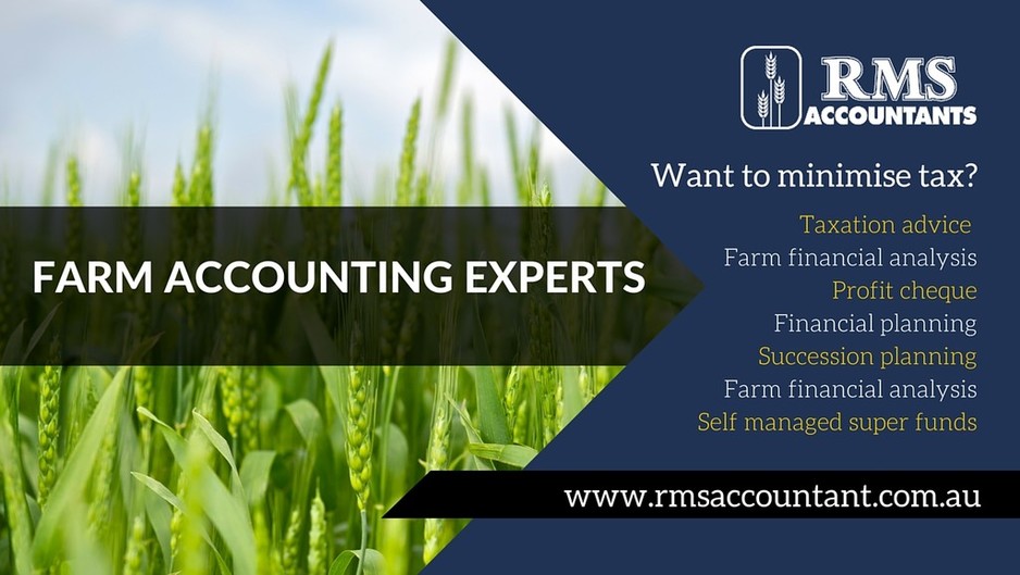 RMS Accountants Pic 1 - Want to minimise your tax RMS Accountants Farm Accounting Experts Call us today