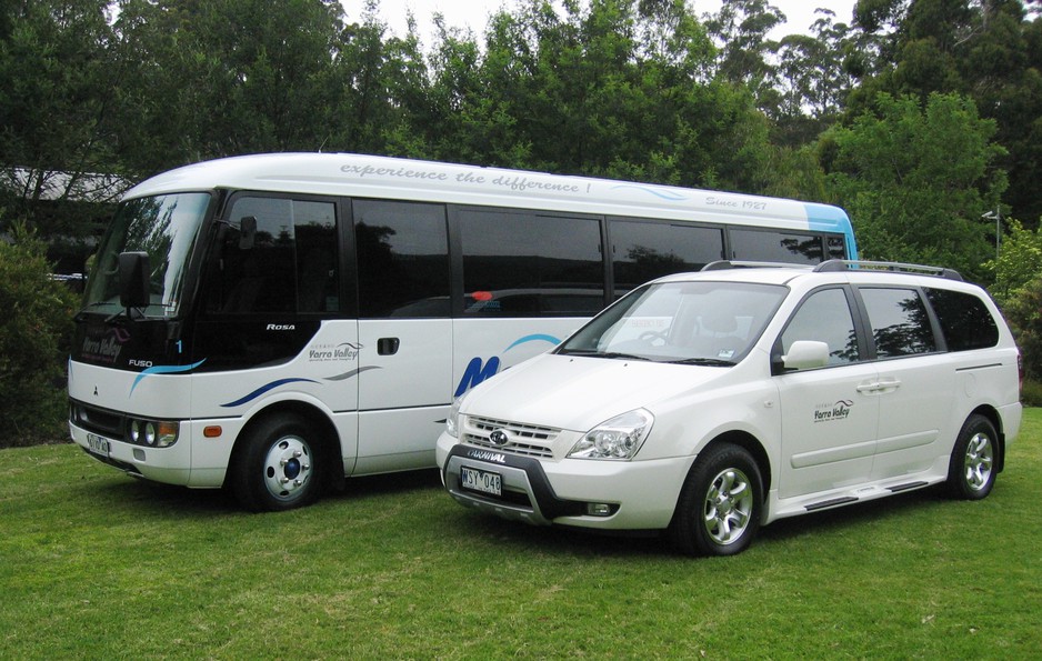 Yarra Valley Specialty Tours And Transfers Pic 1 - some of our modern fleet