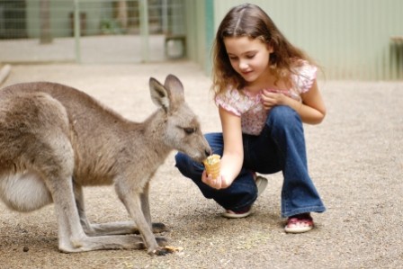 Dal Myles Tours Pic 1 - Wildlife Tours