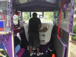 Norbitt's Mobile Pet Care Pic 5 - Raining outside but all is good in the Salon