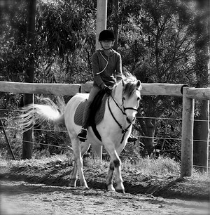 Centura Riding School Pic 2