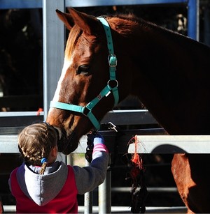 Centura Riding School Pic 4