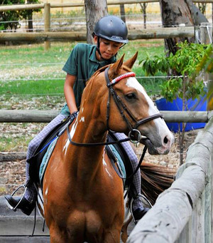 Centura Riding School Pic 5