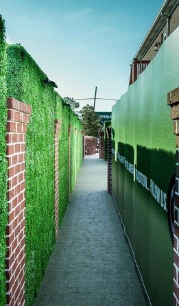 Designer Plants in Carrum Downs, Melbourne, VIC, Nurseries & Gardening