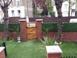 Designer Plants in Carrum Downs, Melbourne, VIC, Nurseries & Gardening