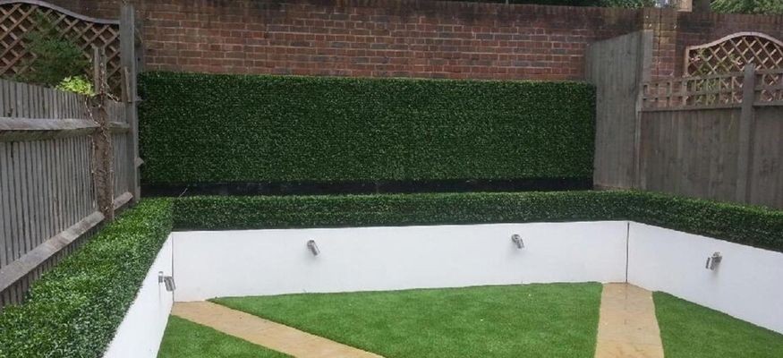 Designer Plants in Carrum Downs, Melbourne, VIC, Nurseries & Gardening