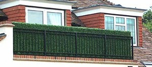 Designer Plants in Carrum Downs, Melbourne, VIC, Nurseries & Gardening