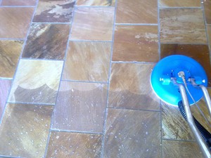 Eco Force Cleaning Services Pic 2