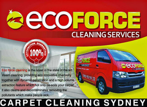 Eco Force Cleaning Services Pic 4