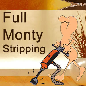 Full Monty Stripping Pic 1 - Full Monty Stripping Floor Removal Preparation Services