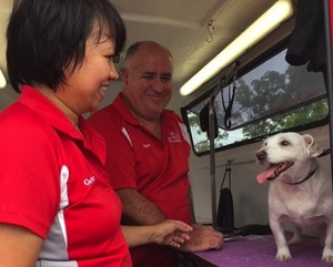 Jim's Dog Wash Blair Athol Pic 2 - Jims Dog Wash Blair Athol 131 546 Mobile Dog Wash