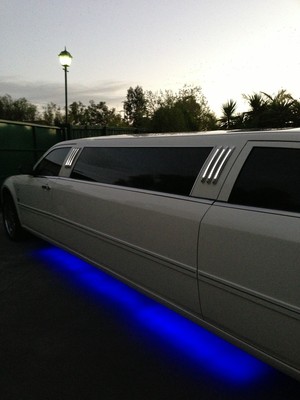 Limo To You Pic 2