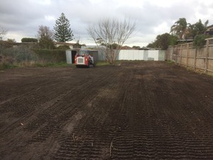 Hutchison Earthworks Pic 3 - Backyard Clean Up