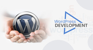 Elsner Technologies Pty. Ltd. Pic 5 - WordPress development