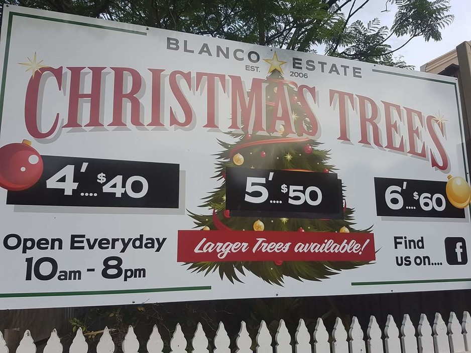 Blanco Estate Christmas Trees Pic 1