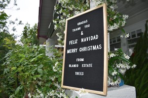 Blanco Estate Christmas Trees Pic 4