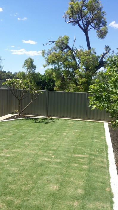 Fence Plus Pic 1